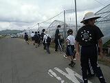 イチゴ狩り